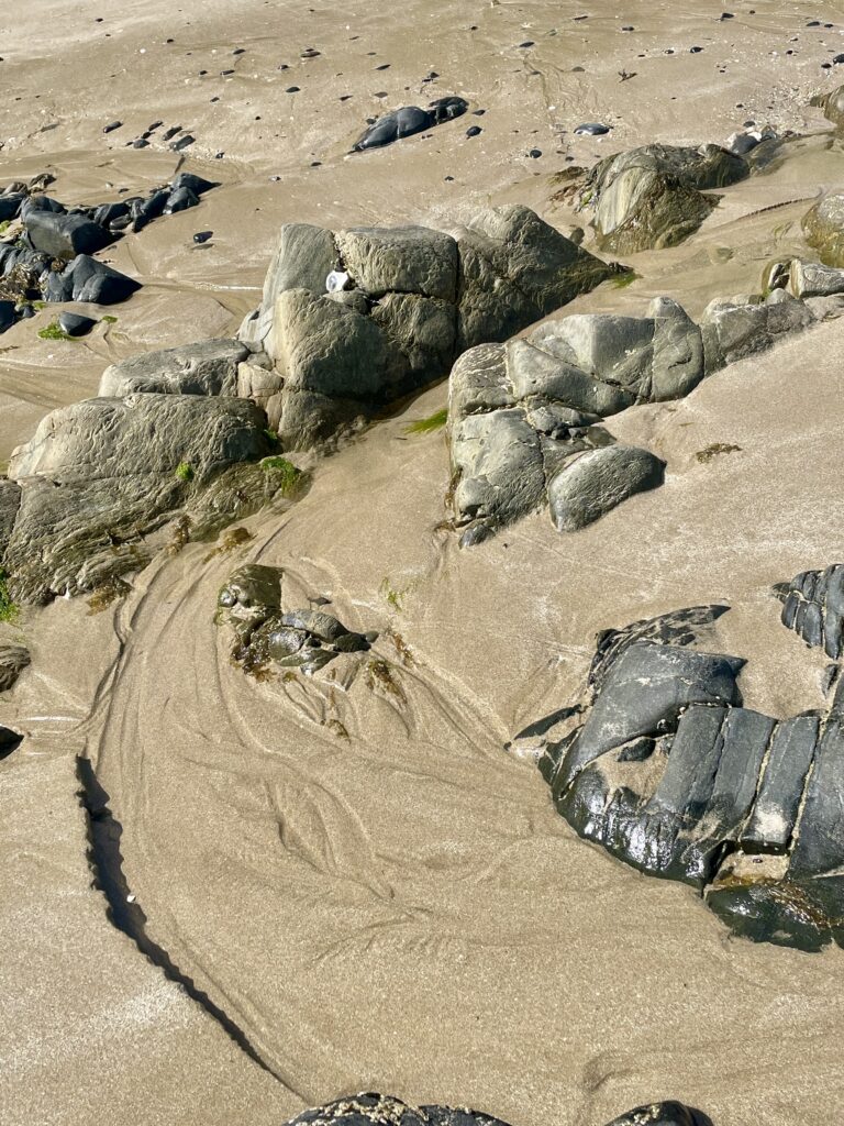 Qu'est-ce que la Kinésiologie Intégrale ?